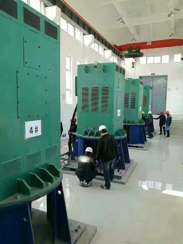 麻章某污水处理厂使用我厂的立式高压电机安装现场